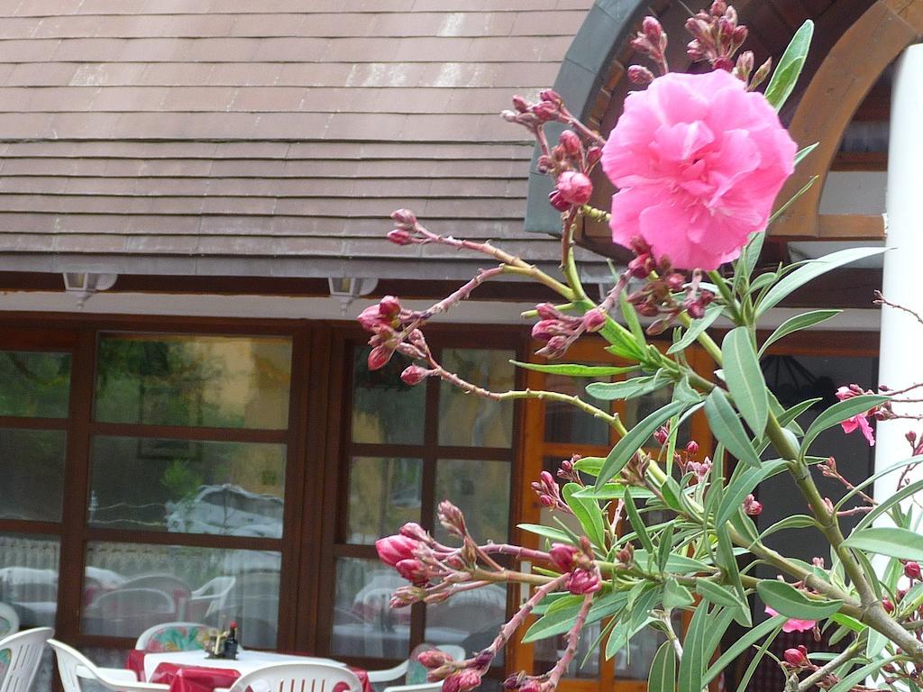 שיופוק Oleander B&B מראה חיצוני תמונה